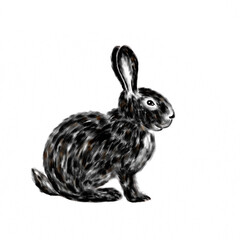 Black Rabbit illustration on white background. Cute sitting bunny drawing in sketch style. Chinese New Year 2023 symbol.