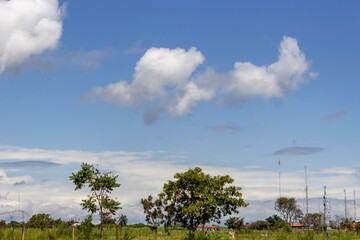 Fototapeta na wymiar landscape with trees and clouds Venezuela