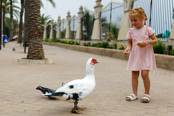 Children feed birds in the city park, family vacation