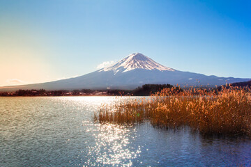 Fototapeta premium Mount Fuji and Lake Kawaguchiko in Japan