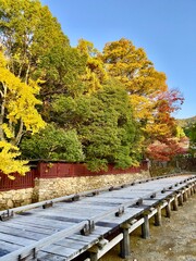 日本庭園と日本建築