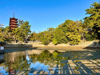 日本庭園と日本建築