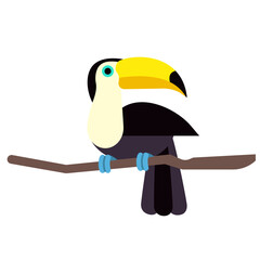Fototapeta premium toucan tropical bird sitting on a branch