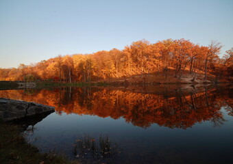 Autumn in Kyiv park