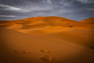 sunrise over sand dunes of erg chebbi, merzouga, morocco, desert, north africa