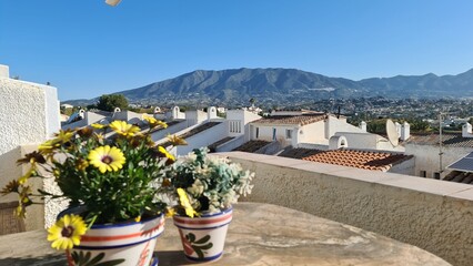 Flower on balcony with view over Mijas mountain.
