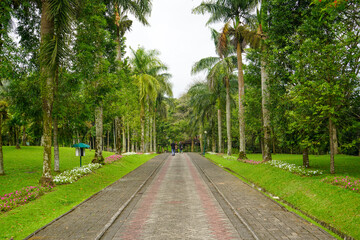 A walkway in a garden made of brick traverses the edge and amidst lawn or meadow in a flower garden. 
Tourist, travel, holiday and vacation spot Taman Bunga Nusantara, Cianjur, Indonesia
