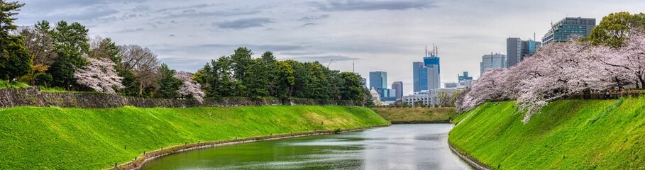 (東京都ｰ風景パノラマ)春の千鳥ヶ淵周辺の風景２