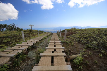 Fototapeta premium 丹沢 花立山荘上の天国の木道