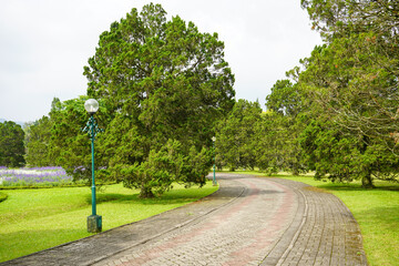 A walkway in a garden made of brick traverses the edge and amidst lawn or meadow in a flower garden. 
Tourist, travel, holiday and vacation spot Taman Bunga Nusantara, Cianjur, Indonesia