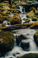 waterfall in the forest