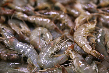 Many fresh raw shrimp as background, closeup
