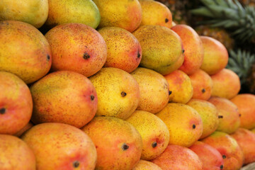 Naklejka na ściany i meble Pile of delicious ripe yellow mangoes, closeup