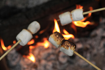 Delicious puffy marshmallows roasting over bonfire, closeup. Space for text
