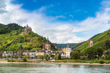 Fototapeta na wymiar Romantic castles in Rhine valley