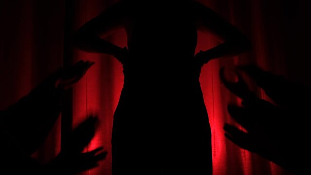 Worship concept, idolize person, Crowd happy and joyful in theatre. Celebration, festival, Happiness, Blurry night club .Event Show concert EDM on stage. Silhouette Applause to actor on red bacground.