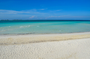 Fototapeta na wymiar playa celeste cielo azul caribe paraiso
