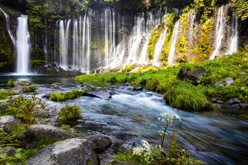 Fototapeta premium Scenic view of shira-ito waterfalls on summer day in Japan