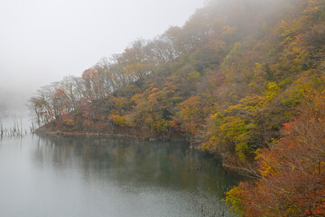 徳山湖の紅葉
