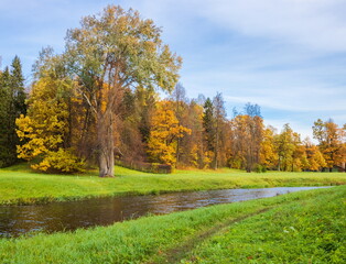 Autumn day in the park. Gold autumn.