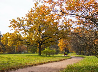 Autumn day in the park. Gold autumn.