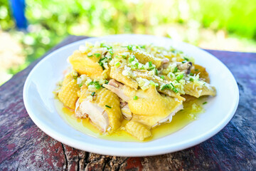 One-dish Cantonese Steamed Scallion Chicken