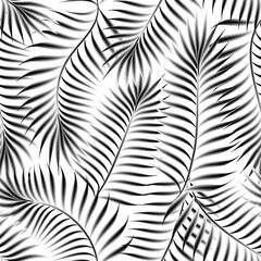 
palm foliage seamless pattern on white background. tropical coconut leaves seamless background. fashionable prints texture. nature decorative. jungle wallpaper. Beach summer trendy illustration. fall