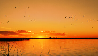 atardecer con sol amanecer cielo