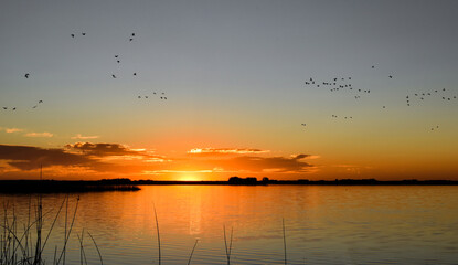 atardecer con sol amanecer cielo