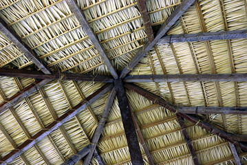 Straw roof in a small village in Brazil