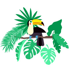 toucan tropical bird on branch jungle rainforest 