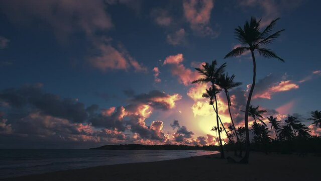 Amazing sunrise on the tropical beach. Silhouettes of palm trees against the background of a beautiful purple sky