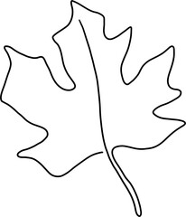 simplicity maple freehand drawing flat design.
