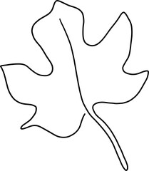 simplicity maple freehand drawing flat design.