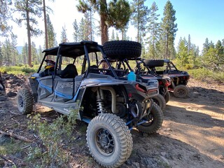 Fototapeta na wymiar ATV, off roading, nature, forest, excursion, Bend, Oregon