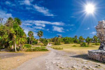Palms near Great platform, Mayan Ruins in Tulum, Riviera Maya, Yucatan, Caribbean Sea, Mexico