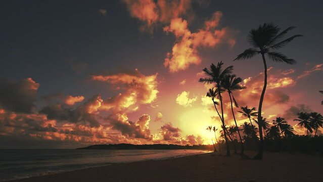 Amazing sunset on the tropical beach. Silhouettes of palm trees against the background of a beautiful pinking sky