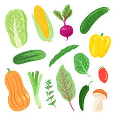 Set of vegetable illustrations. Healthy real food for wellness. Source of vitamins. Plant based food.