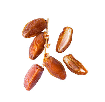 Dried date palm isolated on transparent png