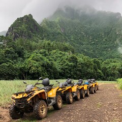 ATV in Tahitian jungle  © Jenna