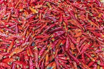 Fototapeta premium 唐辛子