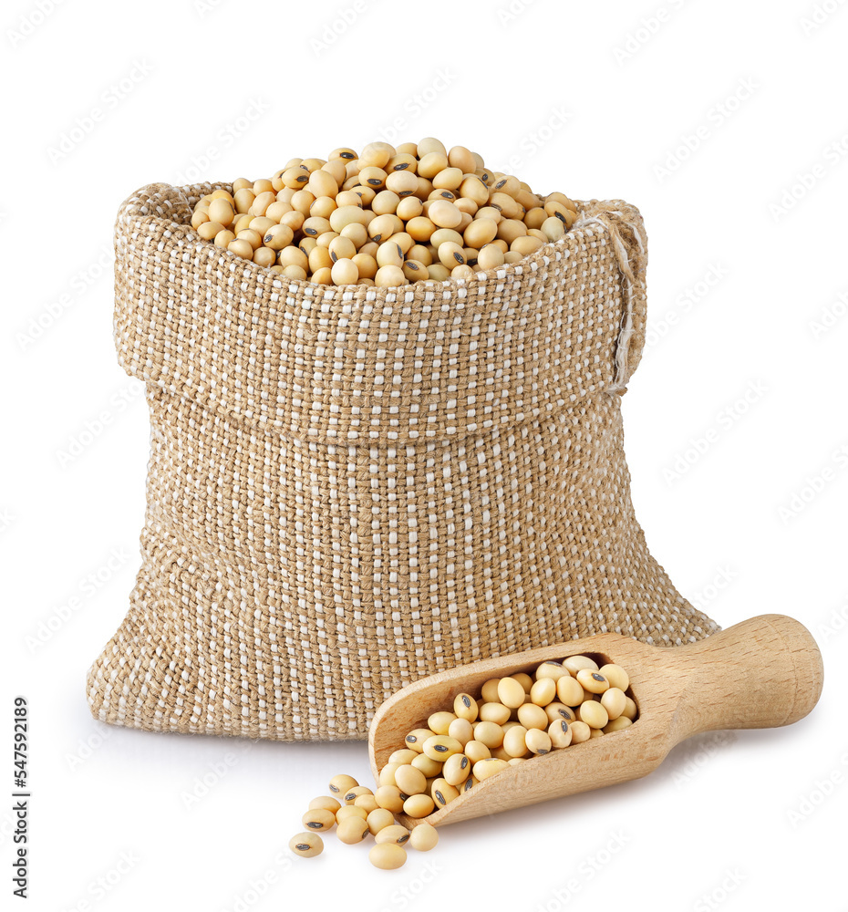 Wall mural soya beans in burlap sack and scoop isolated on white