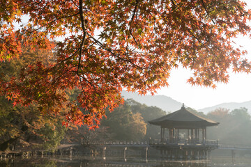 日本の紅葉と湖に浮かぶお堂 / Japanese autumn leaves and a hall on a lake