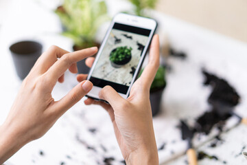 Hobby, asian young woman hand using mobile phone, cellphone taking photo of pot, houseplant with dirt soil on table at home, gardening tree plant in garden farm, green tropical, beauty and nature.