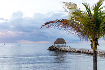 petite cabane avec un toit avec vue sur la mer et une branche de palmier en avant plan lors d'un matin eennuagé