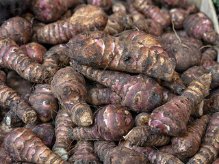 Fresh raw Jerusalem Artichokes (Helianthus tuberosus) on a greengrocer stall at a food market