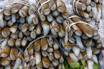 Bundles of fresh Razor Clams on a fish mongers stall at a food market 