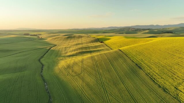  beautiful drone view of the agricultural fields in the countryside