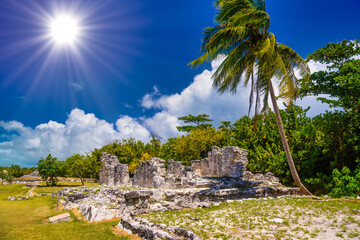 Ancient ruins of Maya in El Rey Archaeological Zone near Cancun, Yukatan, Mexico - obrazy, fototapety, plakaty