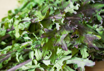 Looking down at fresh khale 